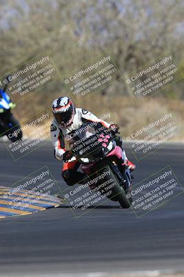 media/May-14-2023-SoCal Trackdays (Sun) [[024eb53b40]]/Turn 3 Set 1 (930am)/